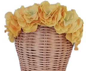Diadema Jaune. Diadema de hortensias en tonos amarillos montada sobre diadema de raso negra : PVP 32 euros